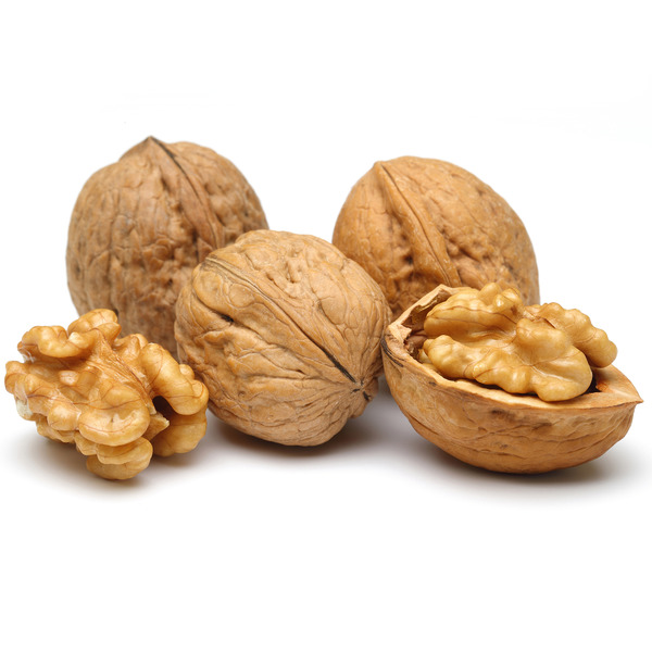 Walnut With Shell