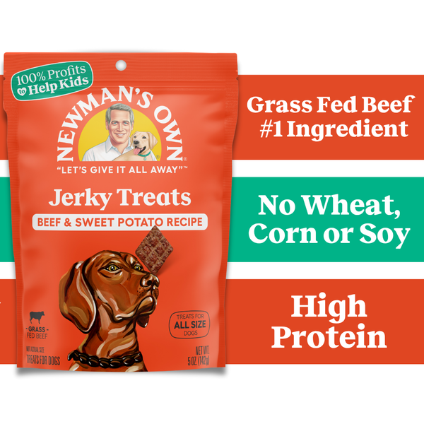 Newman's Own Beef & Sweet Potato Recipe Treats for All Size Dogs