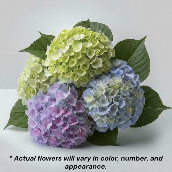 専用^_^新品未開封品hydrangea様バラメモまとめ売り Hydrangea Stem Same-Day Delivery or Pickup | The Fresh Market