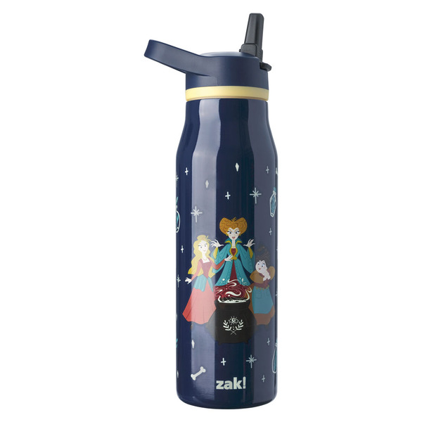 Zak! Halloween Character Stainless Steel Bottle - Hocus Pocus Same