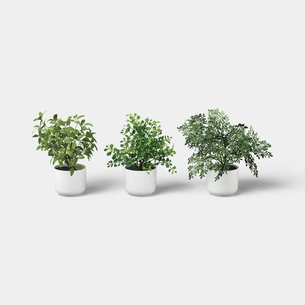 Room Essentials Herb Multipack in White Pot