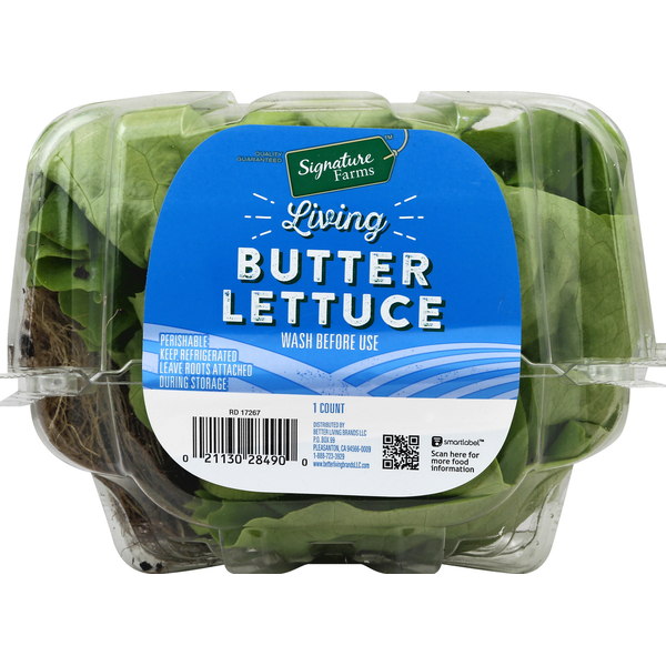 Signature Butter Lettuce, Living