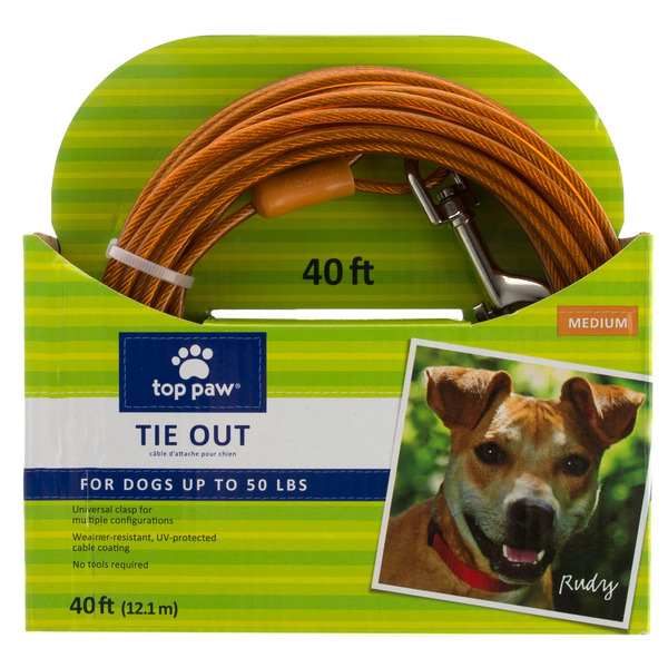 Top Paw Reflective Dog Tie Out