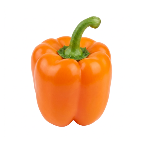Orange Bell Pepper