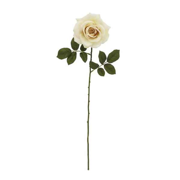 Ashland Cream Rose Stem