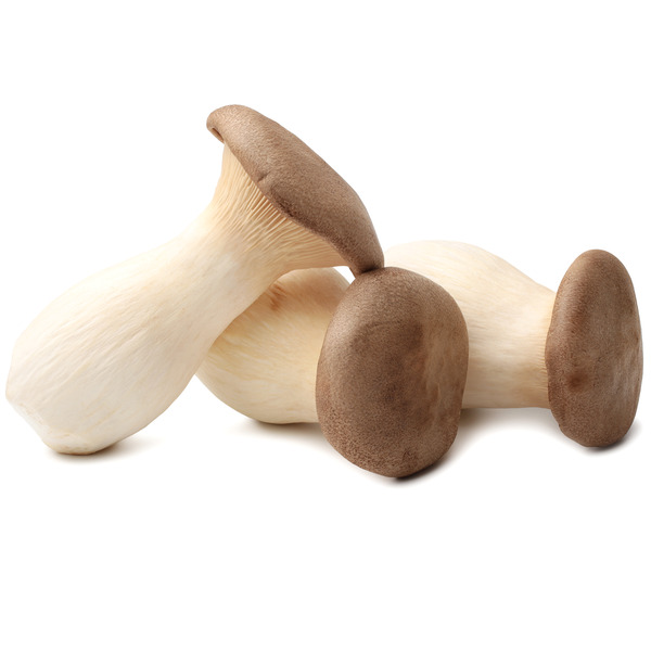 King Oyster Mushroom