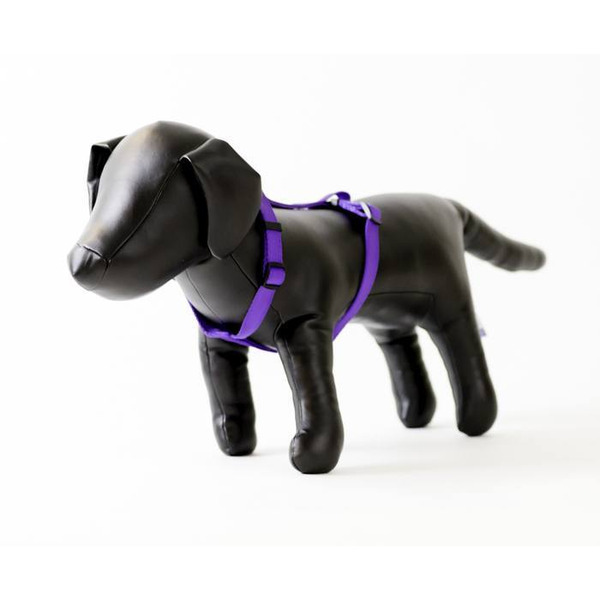 Play On Basic Adjustable Dog Harness, Small - Purple