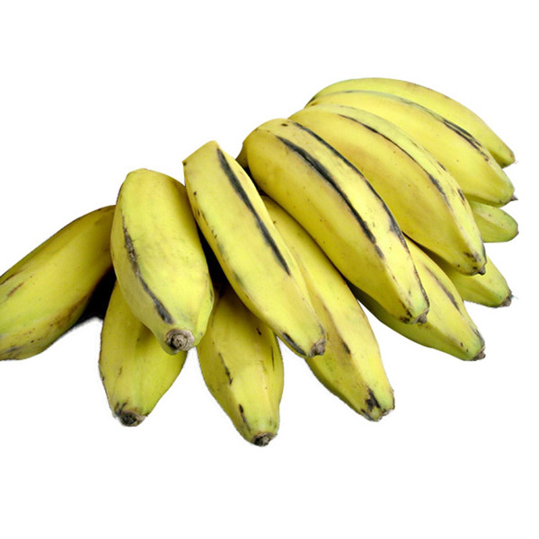 Burro Banana