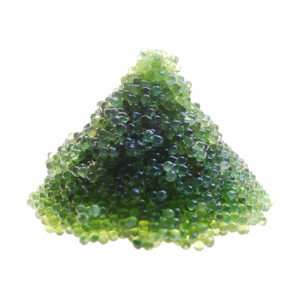 PAFCO Tobiko Wasabi