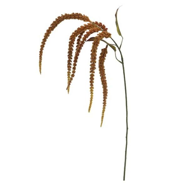 Ashland Gold Amaranthus Stem