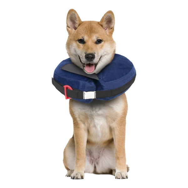 Calm Paws Basic Inflatable Recovery Dog Collar, Medium