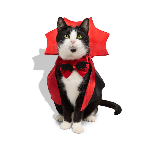 Bootique Vampire Cape Cat Costume