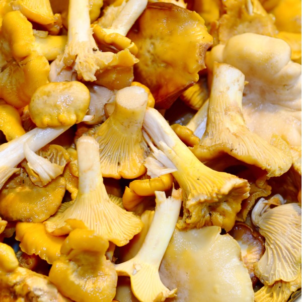 Chanterelle Mushrooms (5 lb) Instacart