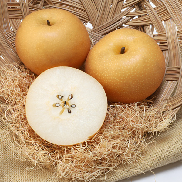 Autumn Moon Pear