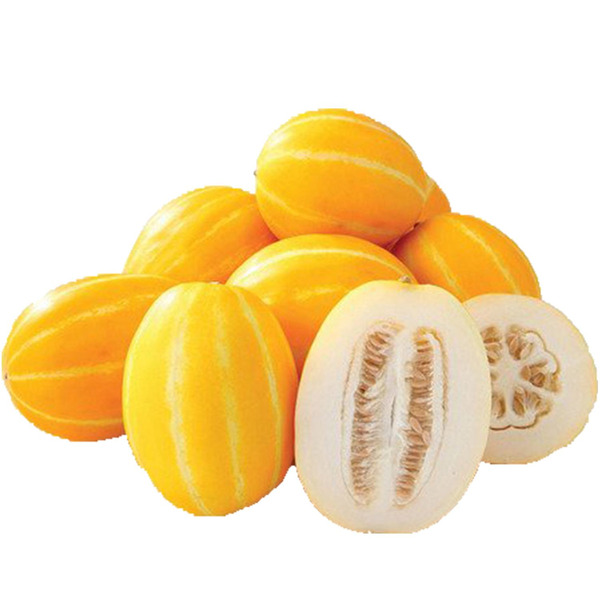 Korean (Chamwae) Melon