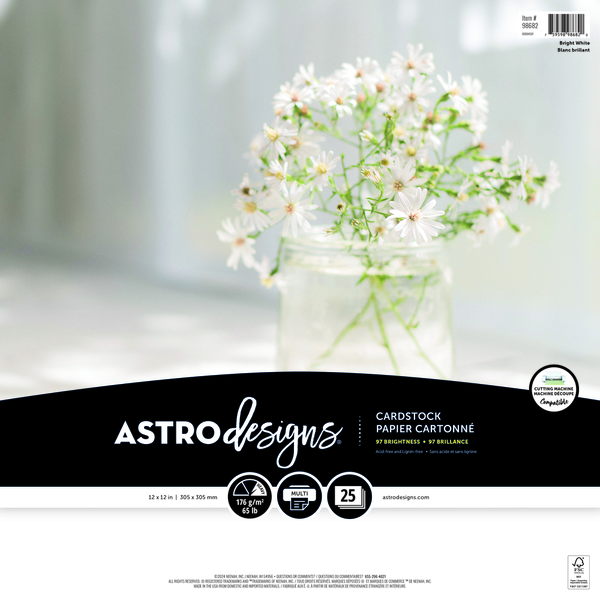 Bureau en Gros Astrodesigns Cardstock Paper, 12 x 12 in - Bright White ...