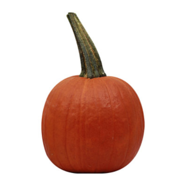 Red Kuri Squash