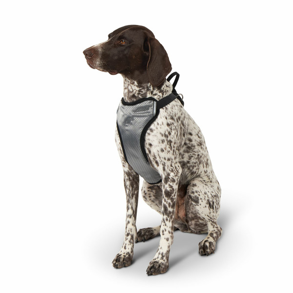 Top Paw Travel Harness, Medium - Black
