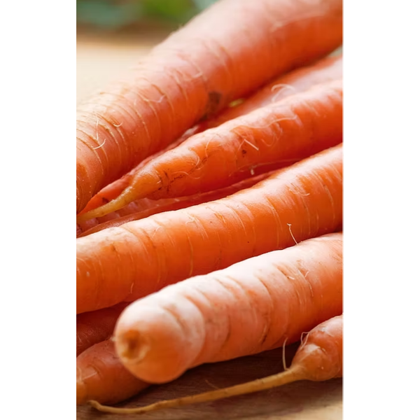 PROD YELLOW CARROT 25LB