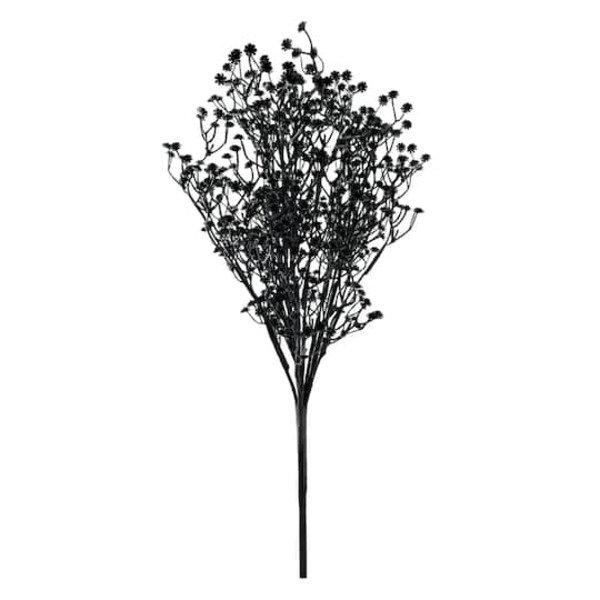 Ashland Black Twig Bush