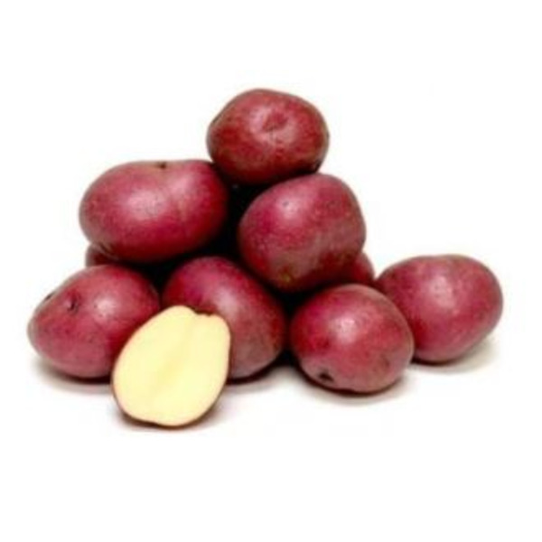 Red Potatoes - 50 lbs