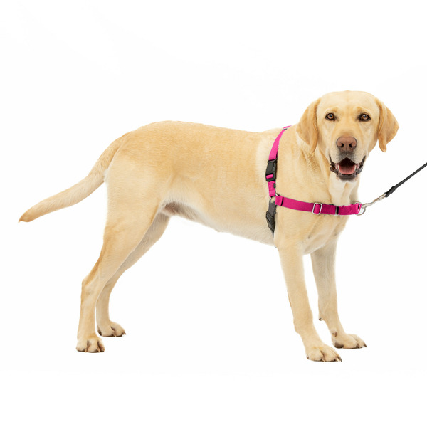 PetSafe Easy Walk Harness, No Pull Dog Harness, Large, Raspberry