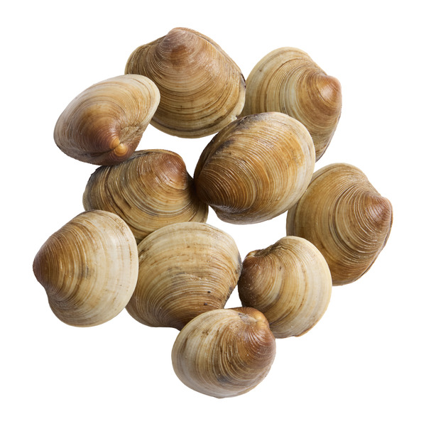 Harmons Littleneck Clams Same-Day Delivery or Pickup | Harmons