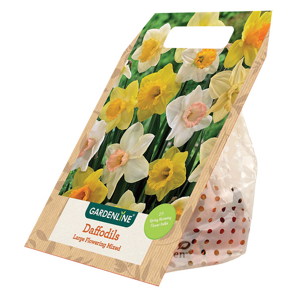Gardenline Daffodils Mixed Same-Day Delivery or Pickup | ALDI
