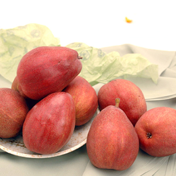Red Anjou Pear