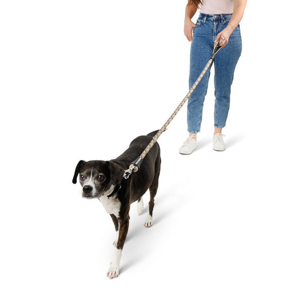 Arcadia Trail Paracord Rope Dog Leash, Tan
