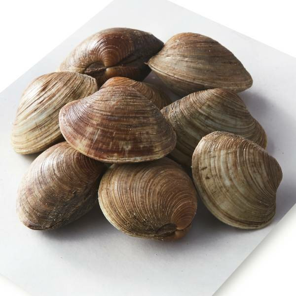 Live Wild Middleneck Clams Same-Day Delivery or Pickup | Publix
