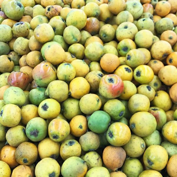 Fresh Tejocote