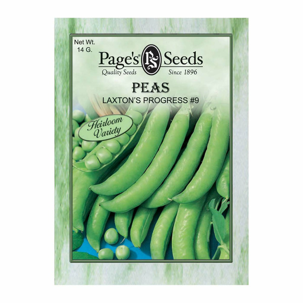 Laxton Progress No. 9 Pea Seeds