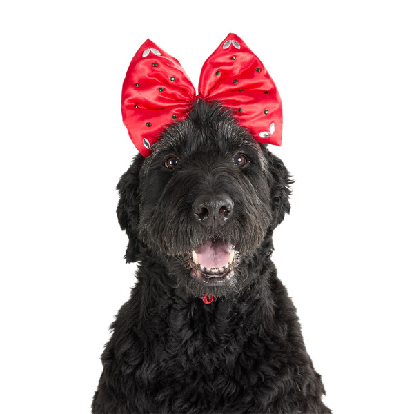Merry & Bright Holiday Bow Dog Headband, L - Red
