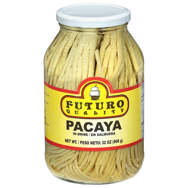 FUTURO Pacaya Date Palm