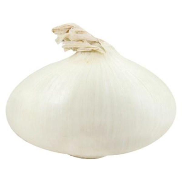White Onion