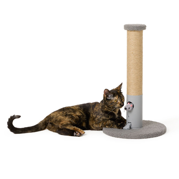 Whisker City Peeking Mouse Scratching Post - Grey