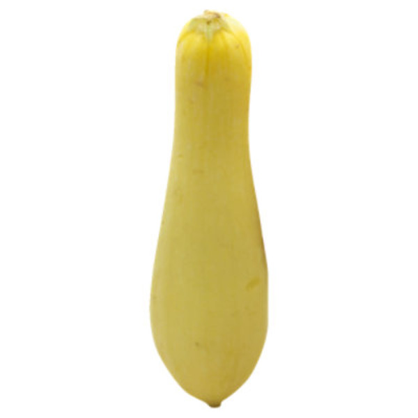 Organic Yellow Squash