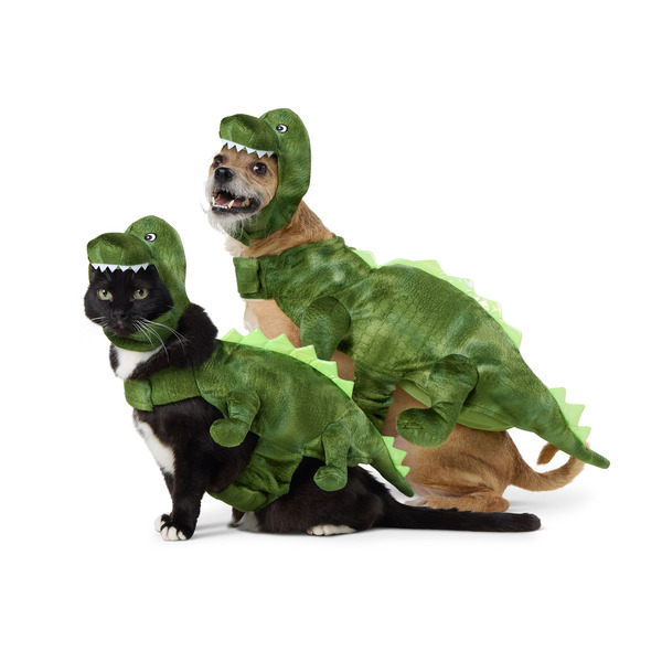 Thrills & Chills Dinosaur Dog & Cat Costume, Large