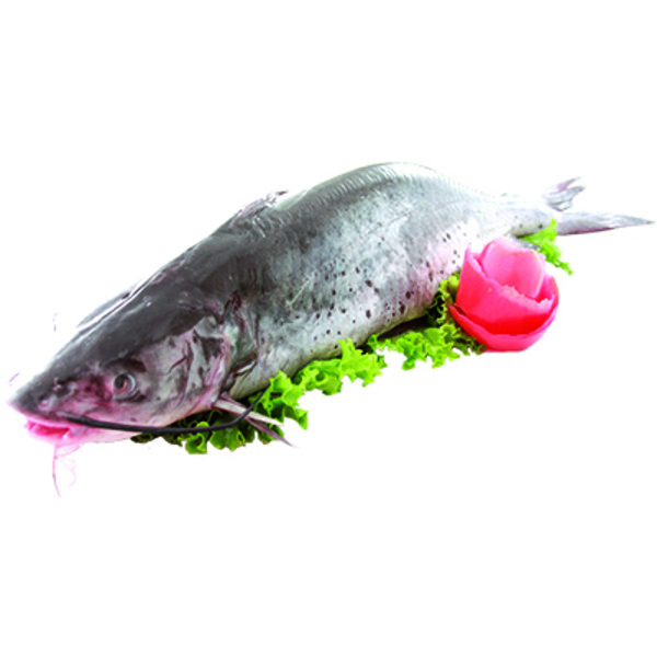 Cardenas Markets Whole Catfish