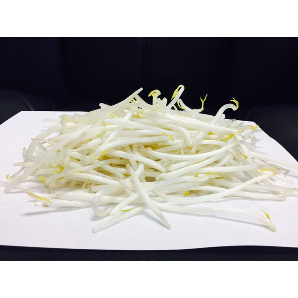 Bean Sprouts - 10 lbs