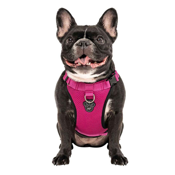 Canada Pooch Pink Everything Harness