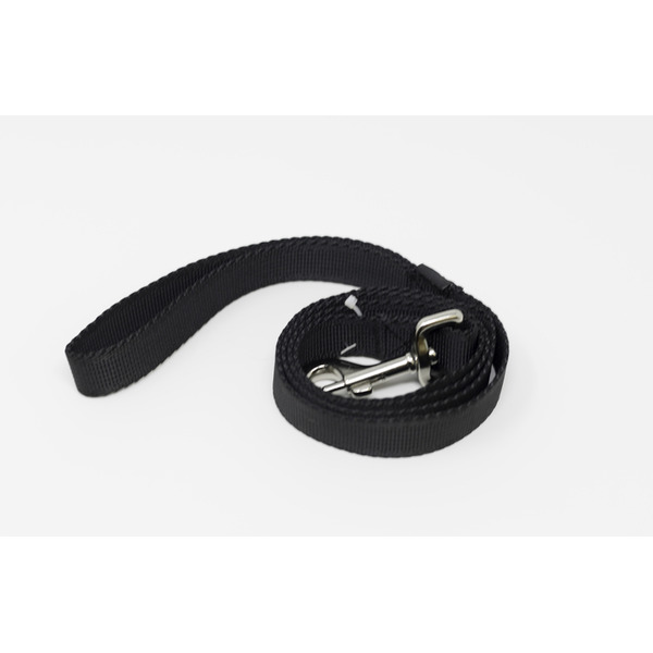 Play On Basic Dog Leash, 1 in x 4 ft - Black