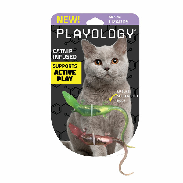 Playology Lizards With Bugs Cat Toys - Green