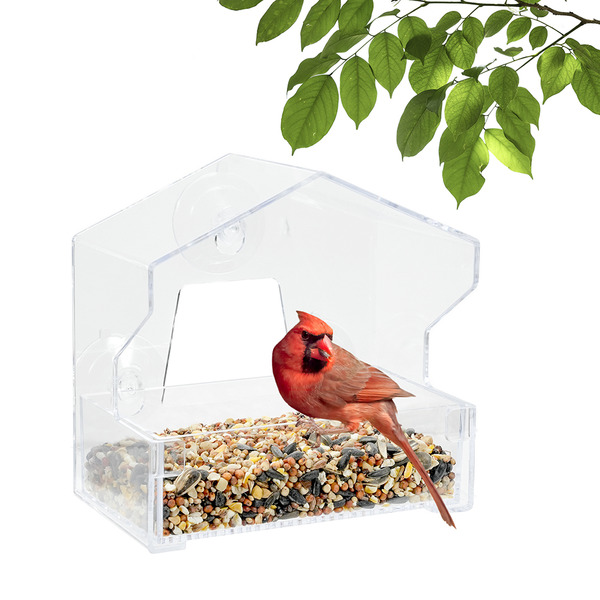 Perky-pet Clear Window Bird Feeder With 4 Suction Cups - 0.5 Lb. Capacity