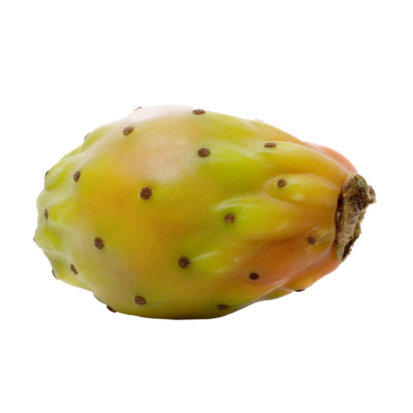 Cactus Pear