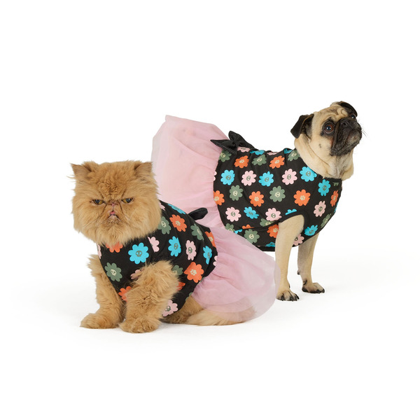 Thrills & Chills Halloween Flower Pet Dress, Large