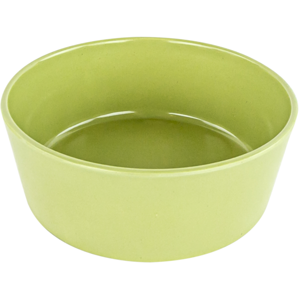 Play On Bamboo Melamine Dog Bowl - Green