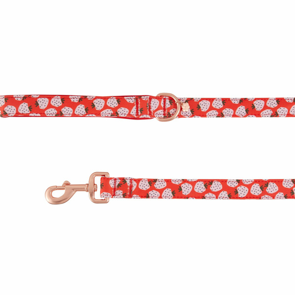 Top Paw Strawberry Print Neoprene Dog Leash