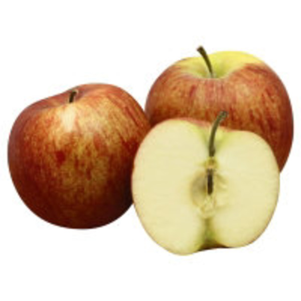 Jonagold Apple